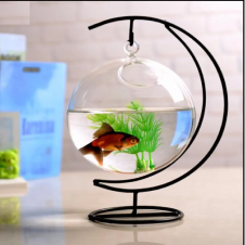 Đồ Decor trang trí để bàn