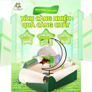 Bể cá cảnh để bàn